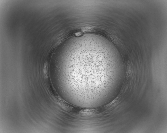 X0000056350082200509161813