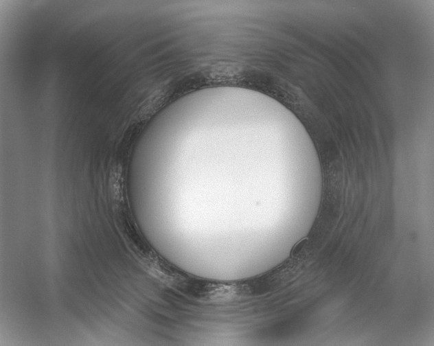 X0000056350083200509161813