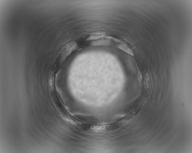 X0000056350084200509161813