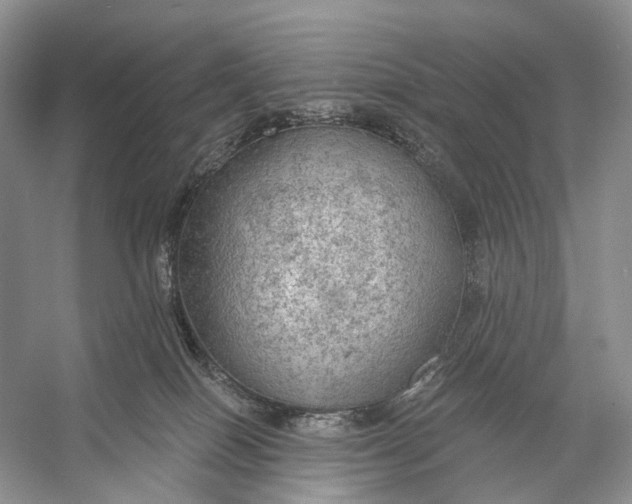 X0000056350086200509161813