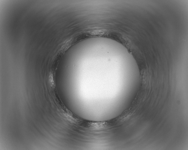 X0000056350089200509161813