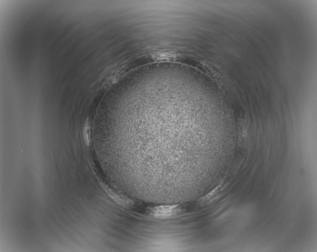 X0000056350090200509161813