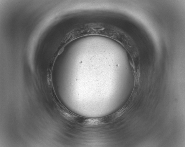 X0000056350093200509161813