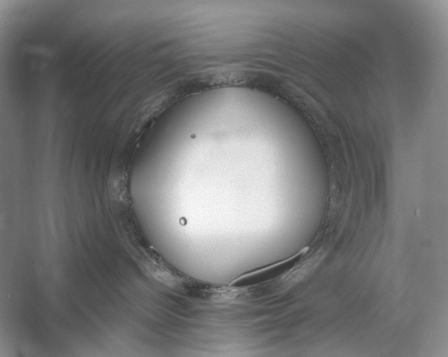 X0000056350096200509161813