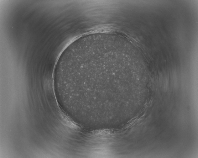 X0000056350100200509161812