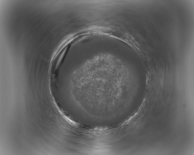 X0000056350101200509161812