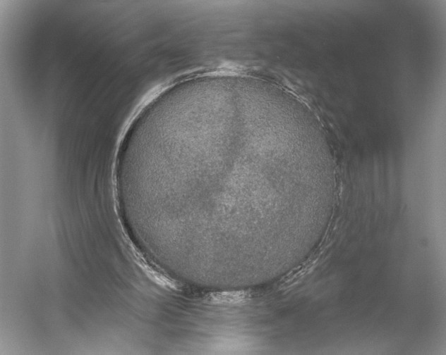 X0000056350102200509161812