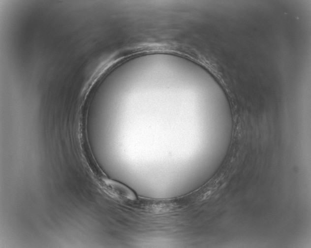 X0000056350103200509161812