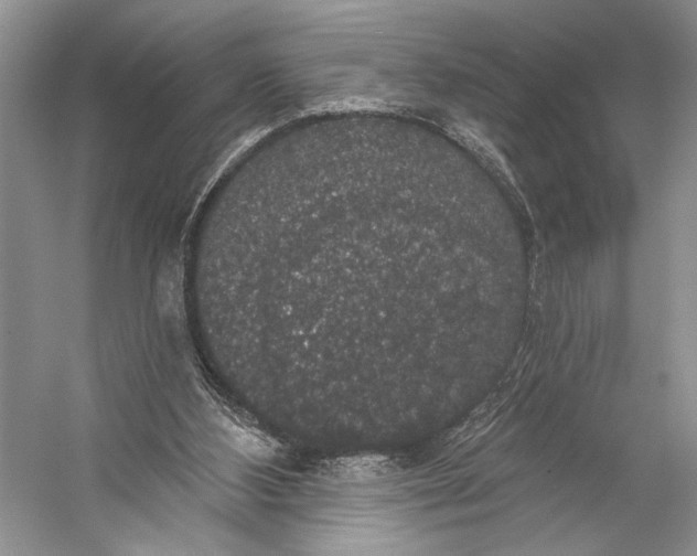 X0000056350108200509161812