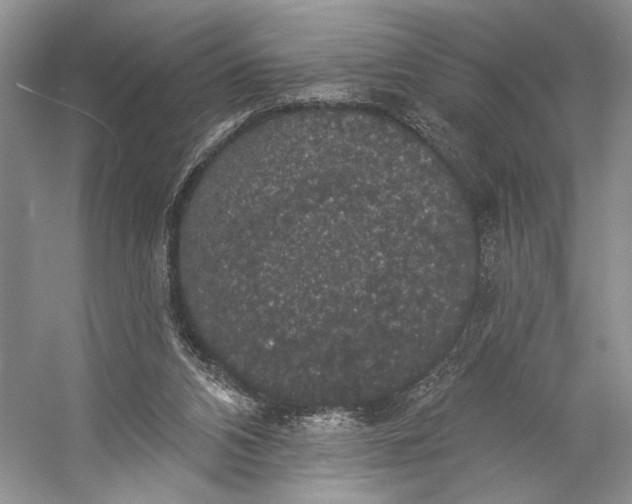 X0000056350112200509161812