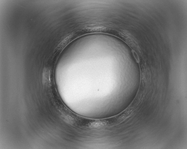 X0000056350115200509161812