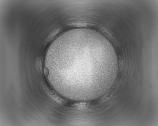 X0000056350120200509161812