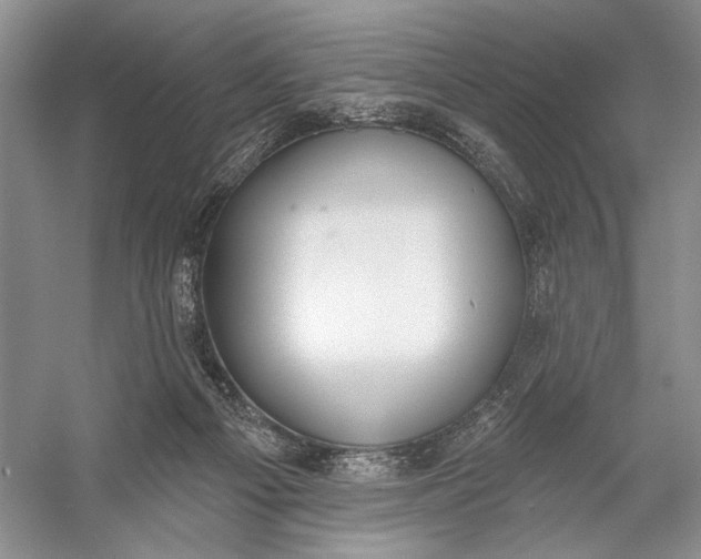 X0000056350121200509161812