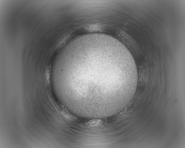 X0000056350124200509161812