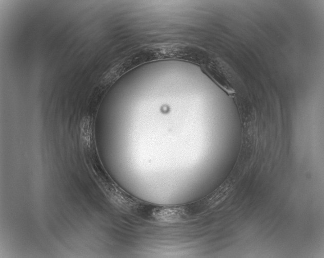 X0000056350129200509161812