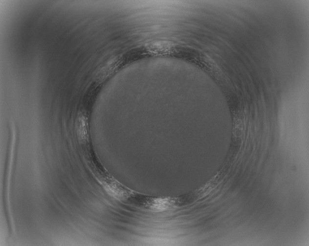 X0000056350130200509161812