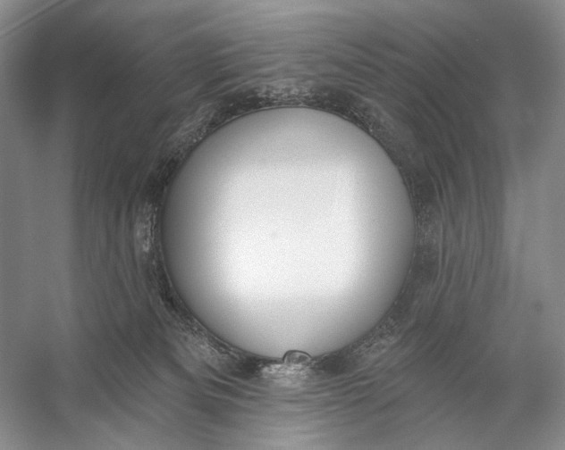 X0000056350133200509161812