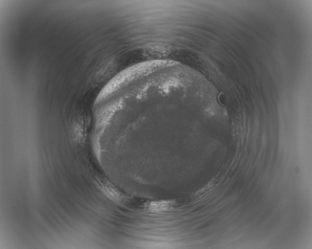 X0000056350134200509161812