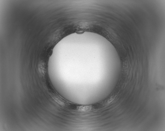 X0000056350135200509161812