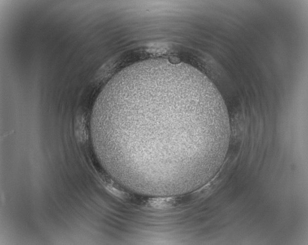 X0000056350136200509161812