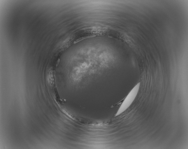 X0000056350137200509161812