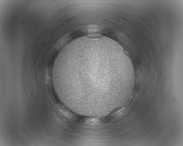 X0000056350140200509161812