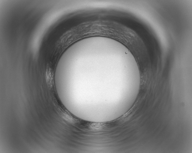 X0000056350142200509161812