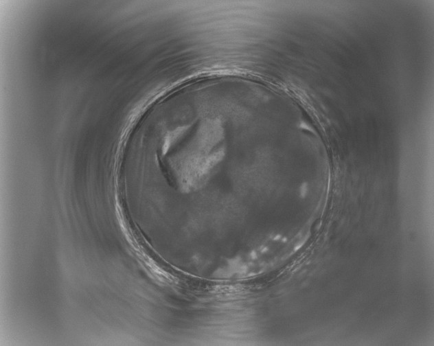 X0000056350145200509161811