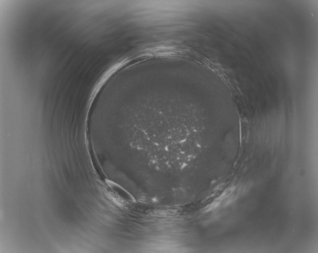 X0000056350147200509161811