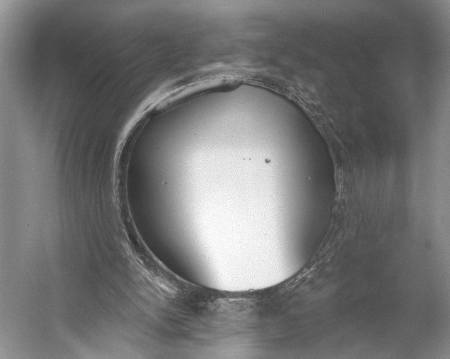 X0000056350150200509161811