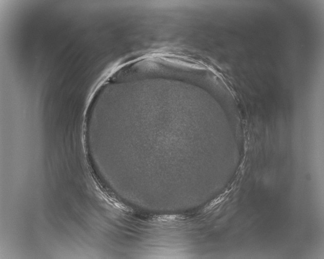 X0000056350152200509161811