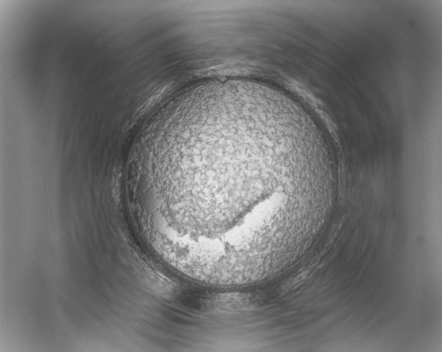 X0000056350153200509161811