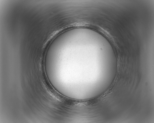 X0000056350155200509161811