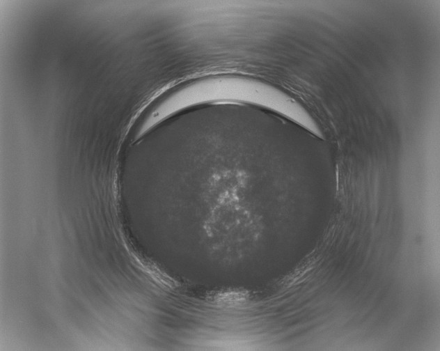 X0000056350156200509161811