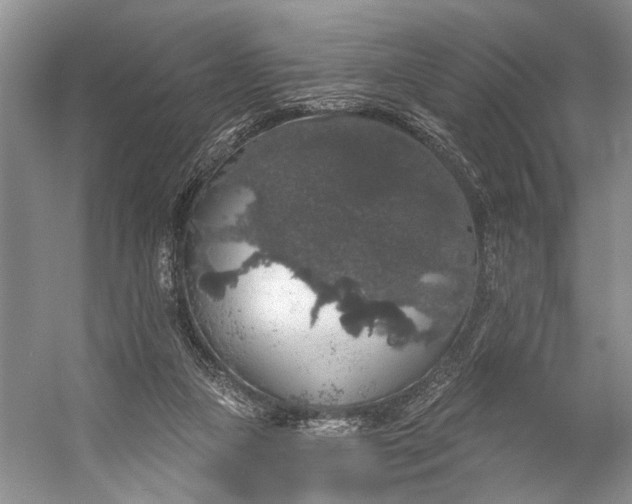 X0000056350161200509161811