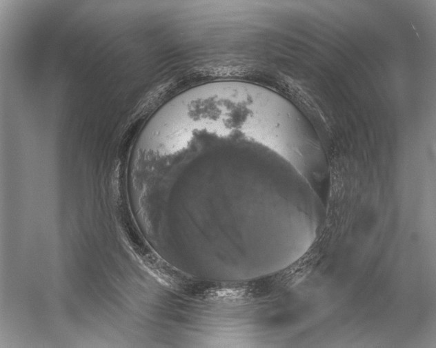 X0000056350163200509161811