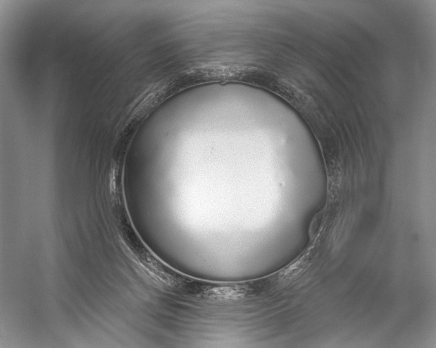 X0000056350166200509161811