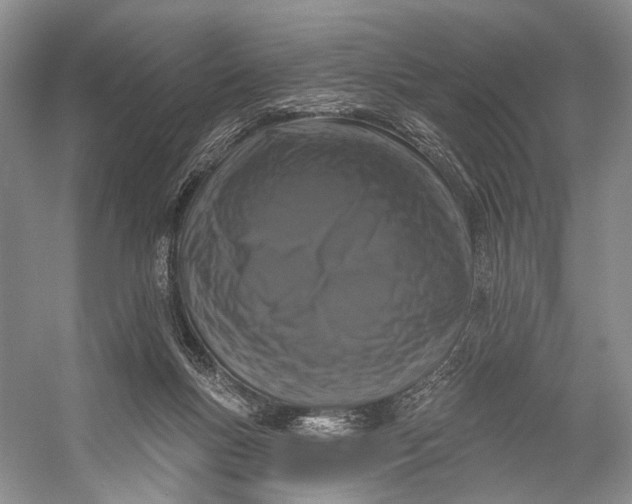 X0000056350167200509161811