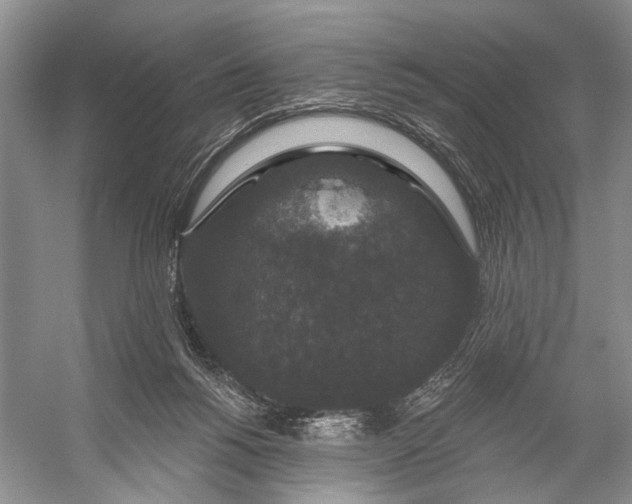 X0000056350168200509161811