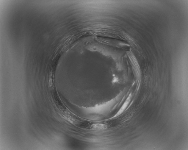 X0000056350169200509161811