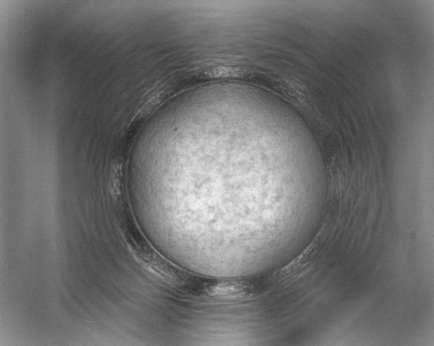 X0000056350171200509161811