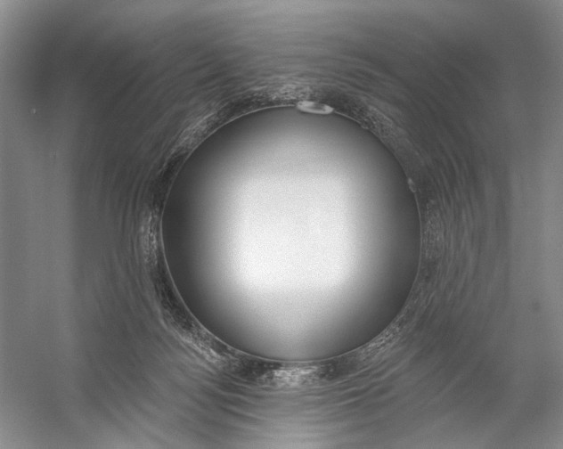 X0000056350172200509161811