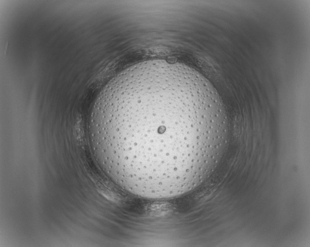 X0000056350173200509161811