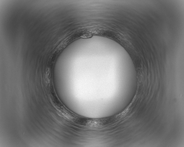 X0000056350174200509161811