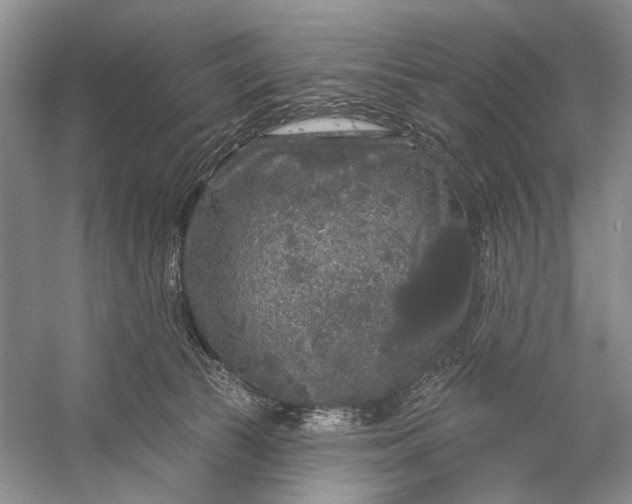 X0000056350177200509161811