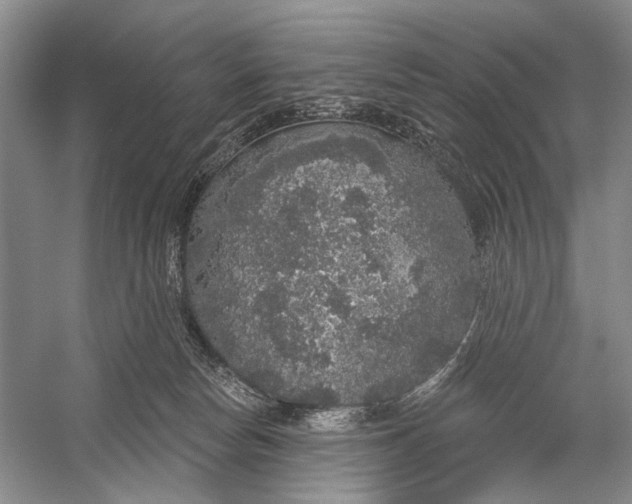 X0000056350178200509161811