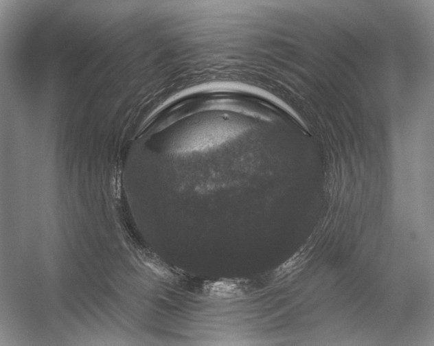 X0000056350180200509161811