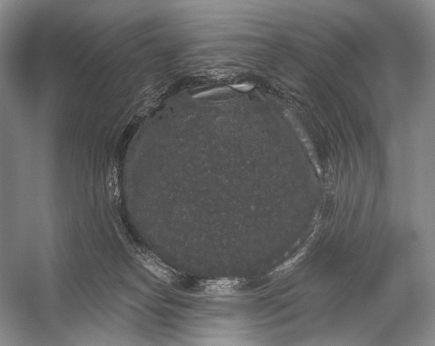 X0000056350182200509161811