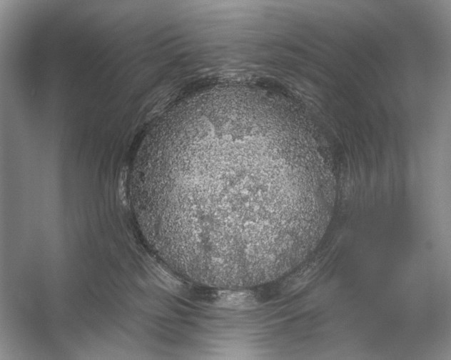 X0000056350185200509161811