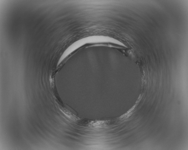 X0000056350186200509161811